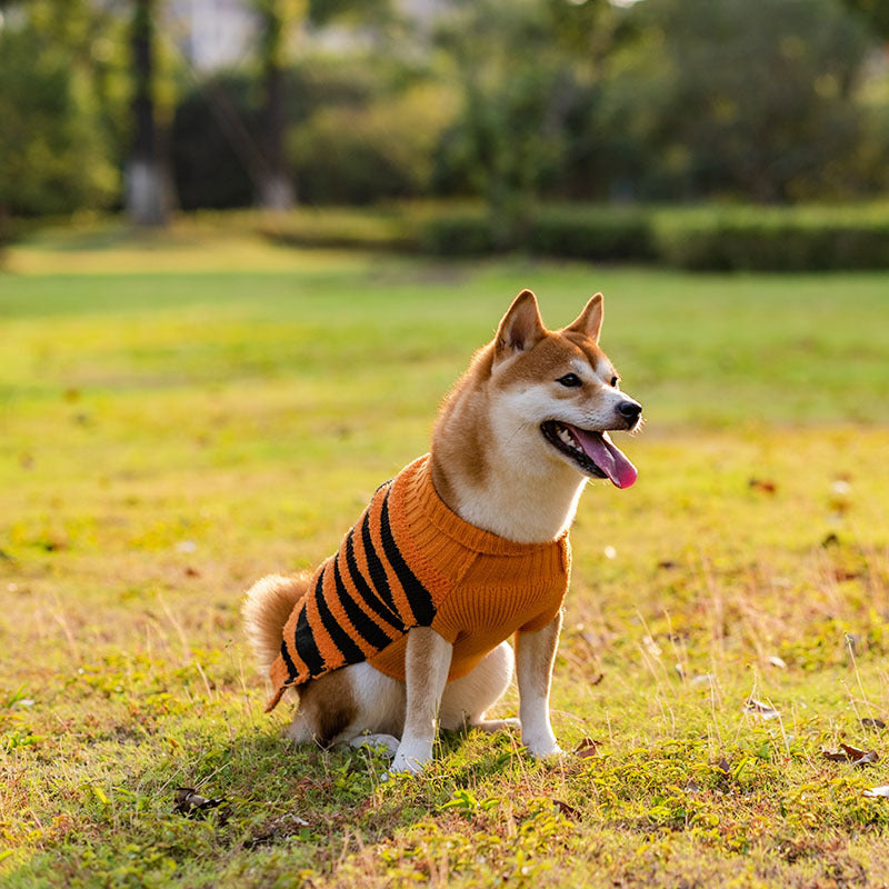 Halloween Dog Sweater – Warm Costume Knit