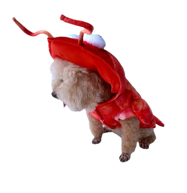 Lobster Pet Costume – Halloween Outfit for Cats & Dogs