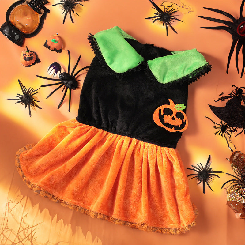 Halloween Pumpkin Dress or Sweater for Dogs – Velvet