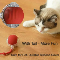 Smart Interactive Ball for Cats & Dogs (Rechargeable)