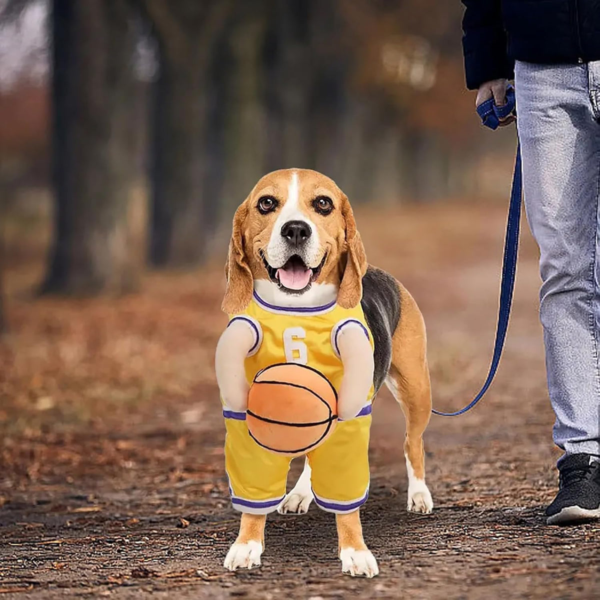 Basketball Player Costume for Dogs – Padded Arms and Ball