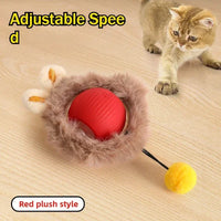 Smart Interactive Ball for Cats & Dogs (Rechargeable)