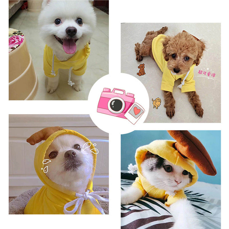 Cute Fruit Hoodie for Small Dogs & Cats