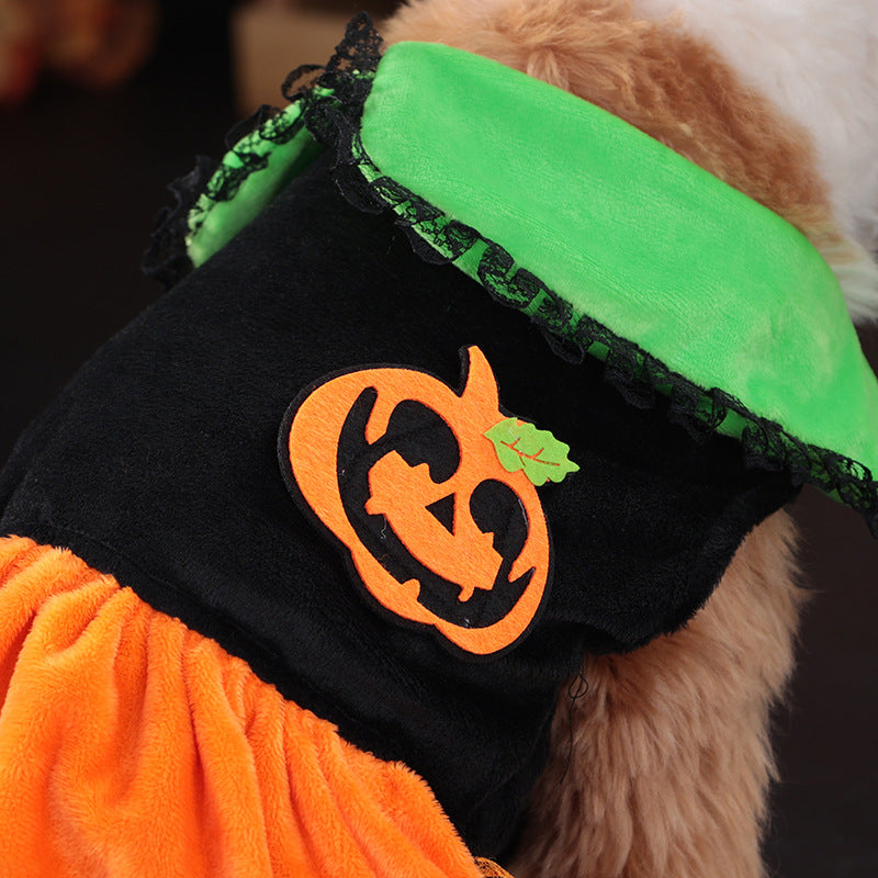 Halloween Pumpkin Dress or Sweater for Dogs – Velvet