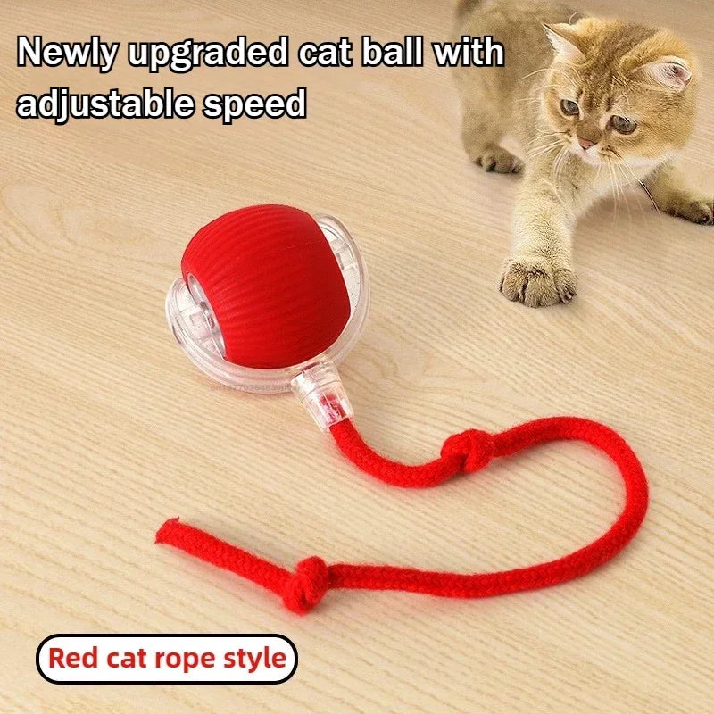 Smart Interactive Ball for Cats & Dogs (Rechargeable)
