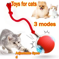 Smart Interactive Ball for Cats & Dogs (Rechargeable)