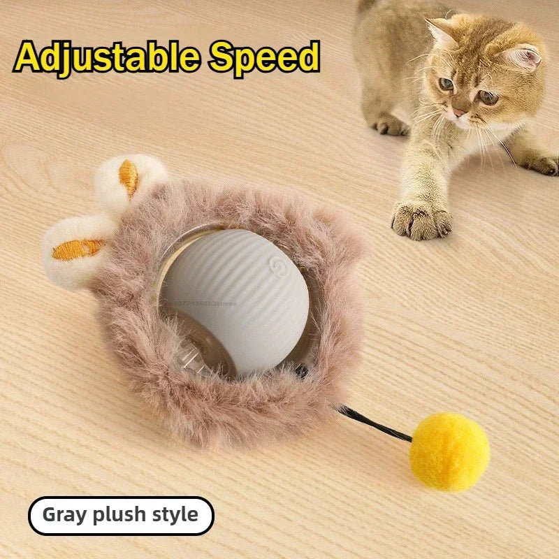 Smart Interactive Ball for Cats & Dogs (Rechargeable)