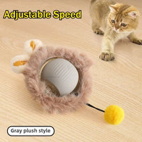 Smart Interactive Ball for Cats & Dogs (Rechargeable)