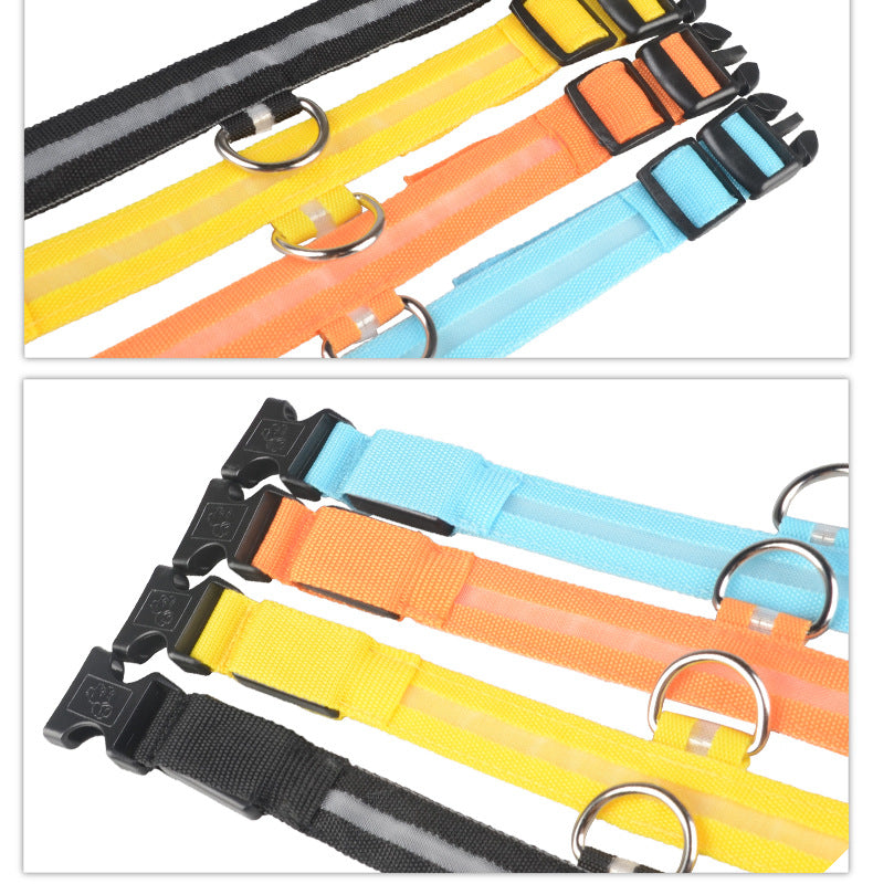 LED Light-Up Dog Collar for Night Safety