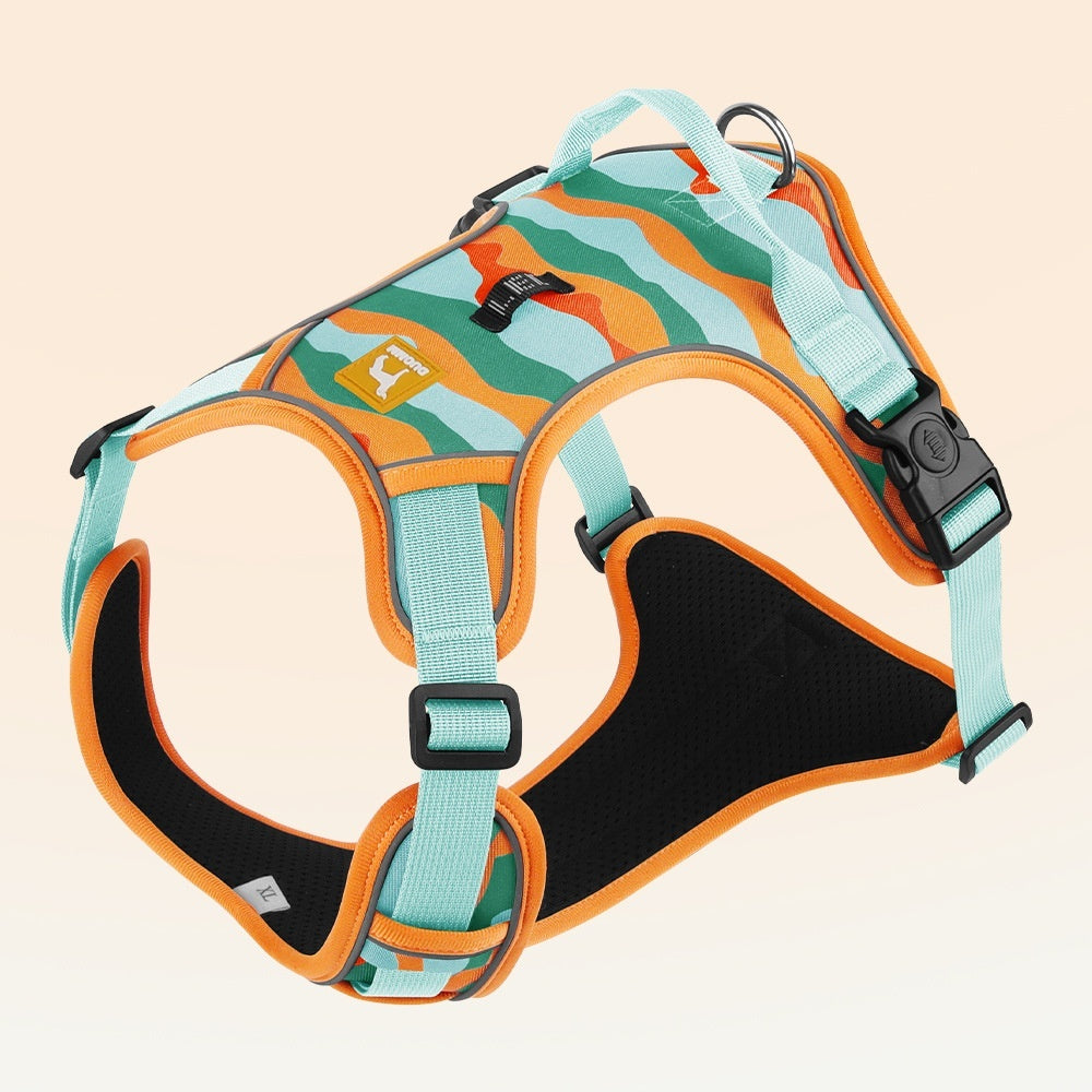 Reflective Dog Harness Leash with Handle