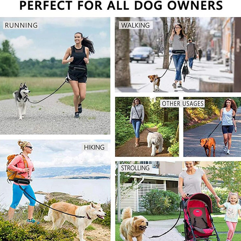 Hands-Free Dog Leash Belt with Bungee