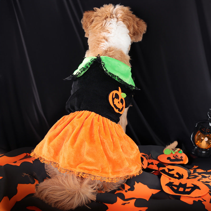 Halloween Pumpkin Dress or Sweater for Dogs – Velvet