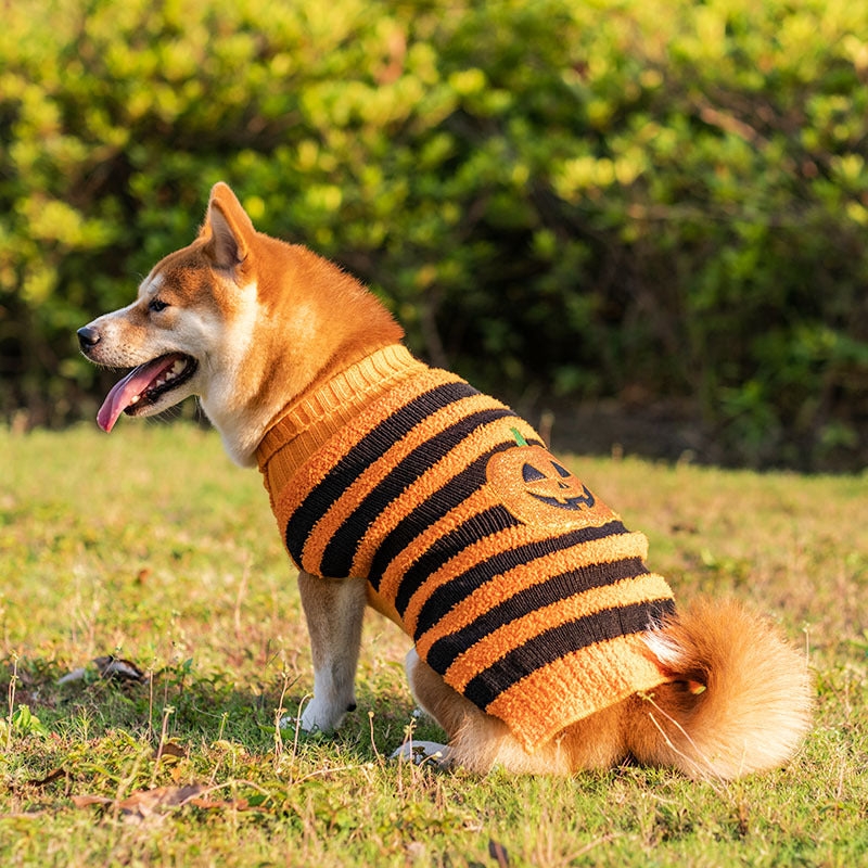 Halloween Dog Sweater – Warm Costume Knit