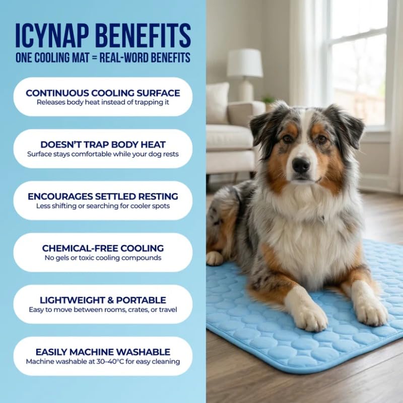 Cooling Ice-Silk Pet Mat for Summer