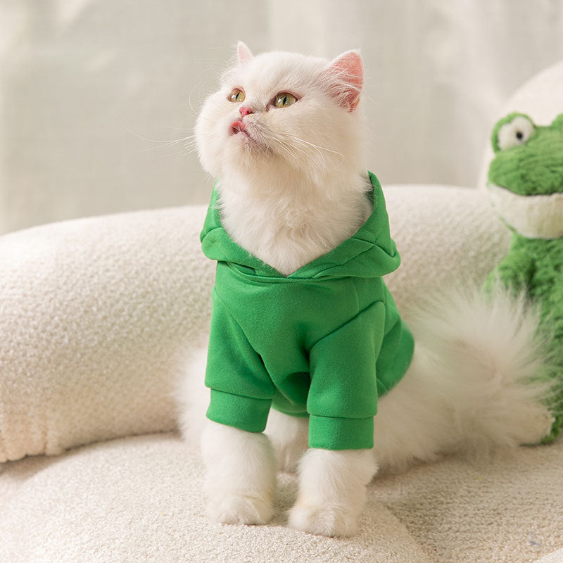 Halloween Hoodie for Puppies & Cats