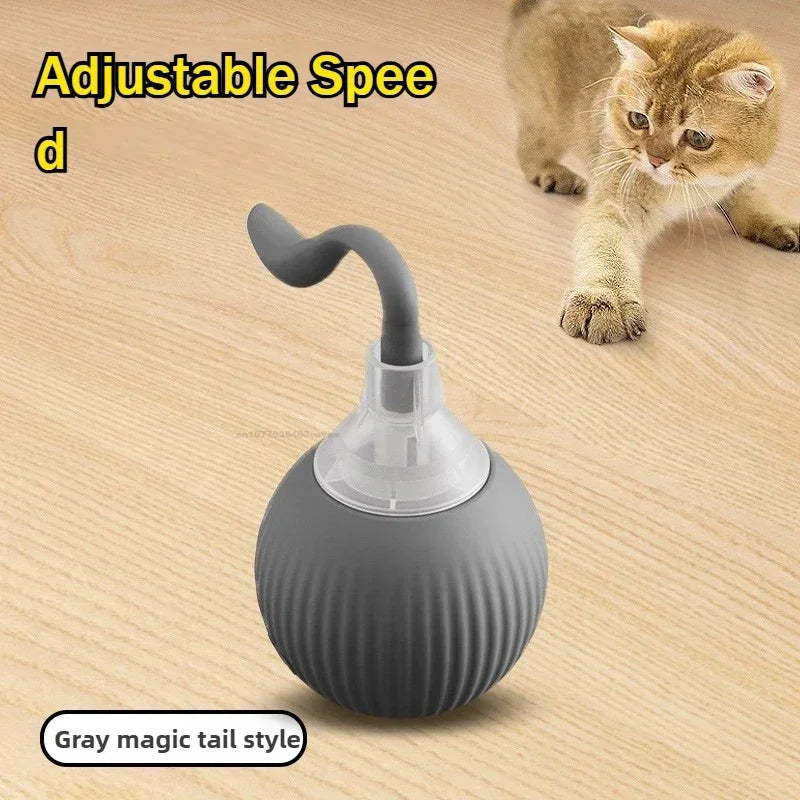 Smart Interactive Ball for Cats & Dogs (Rechargeable)