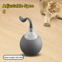 Smart Interactive Ball for Cats & Dogs (Rechargeable)