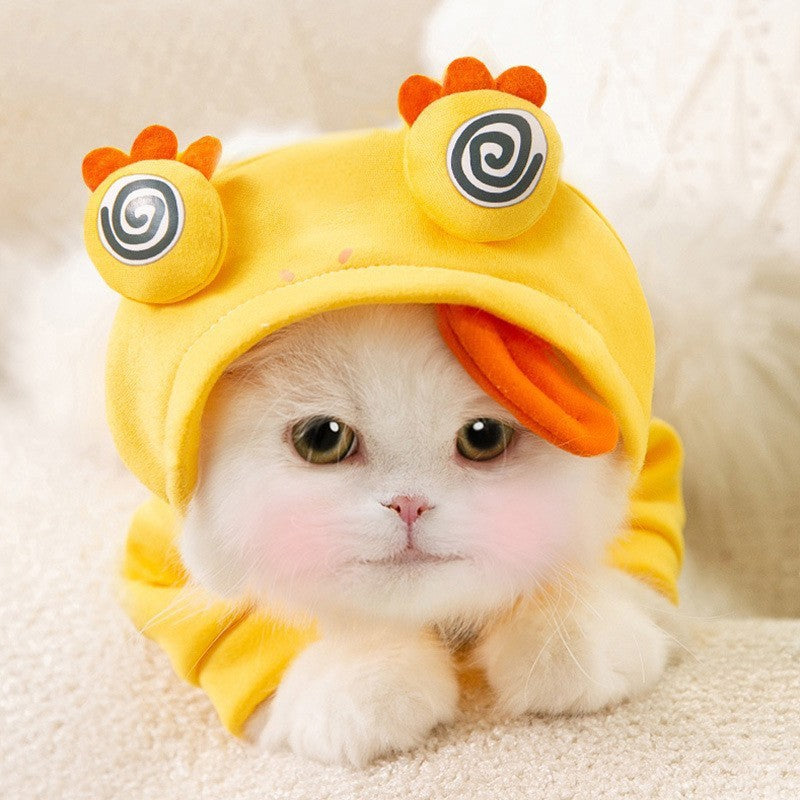 Halloween Hoodie for Puppies & Cats