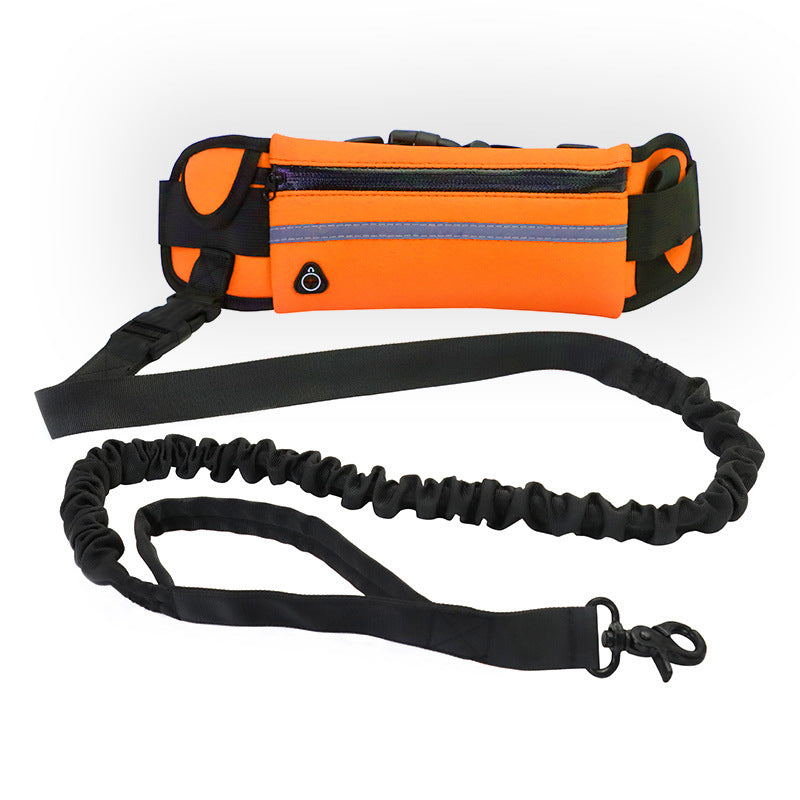 Hands-Free Dog Leash Belt with Bungee