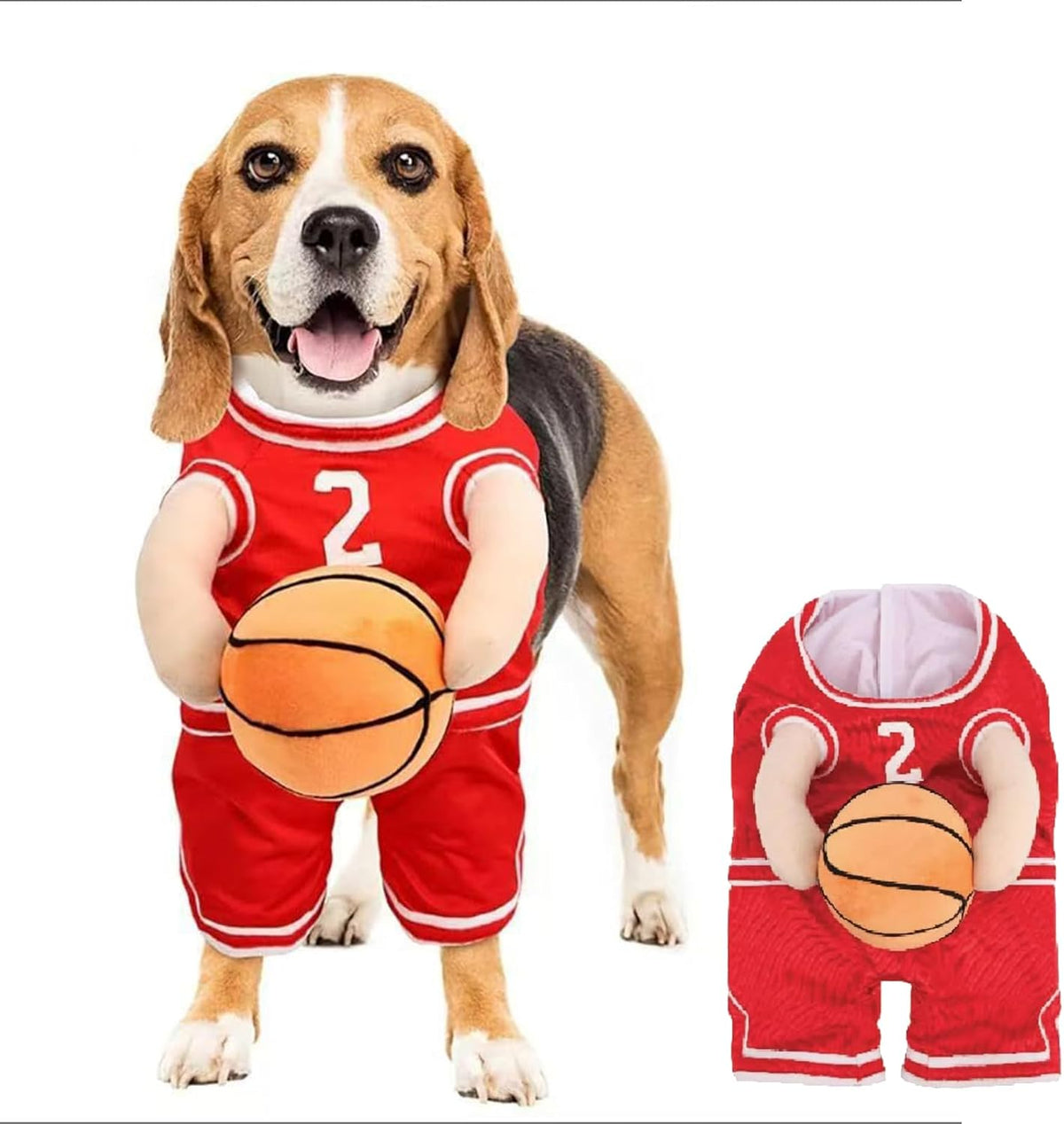 Basketball Player Costume for Dogs – Padded Arms and Ball