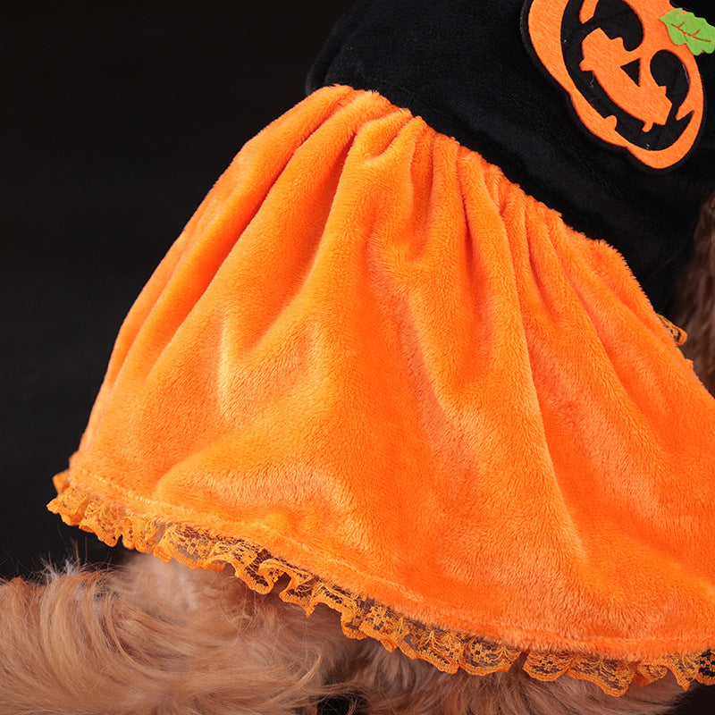 Halloween Pumpkin Dress or Sweater for Dogs – Velvet
