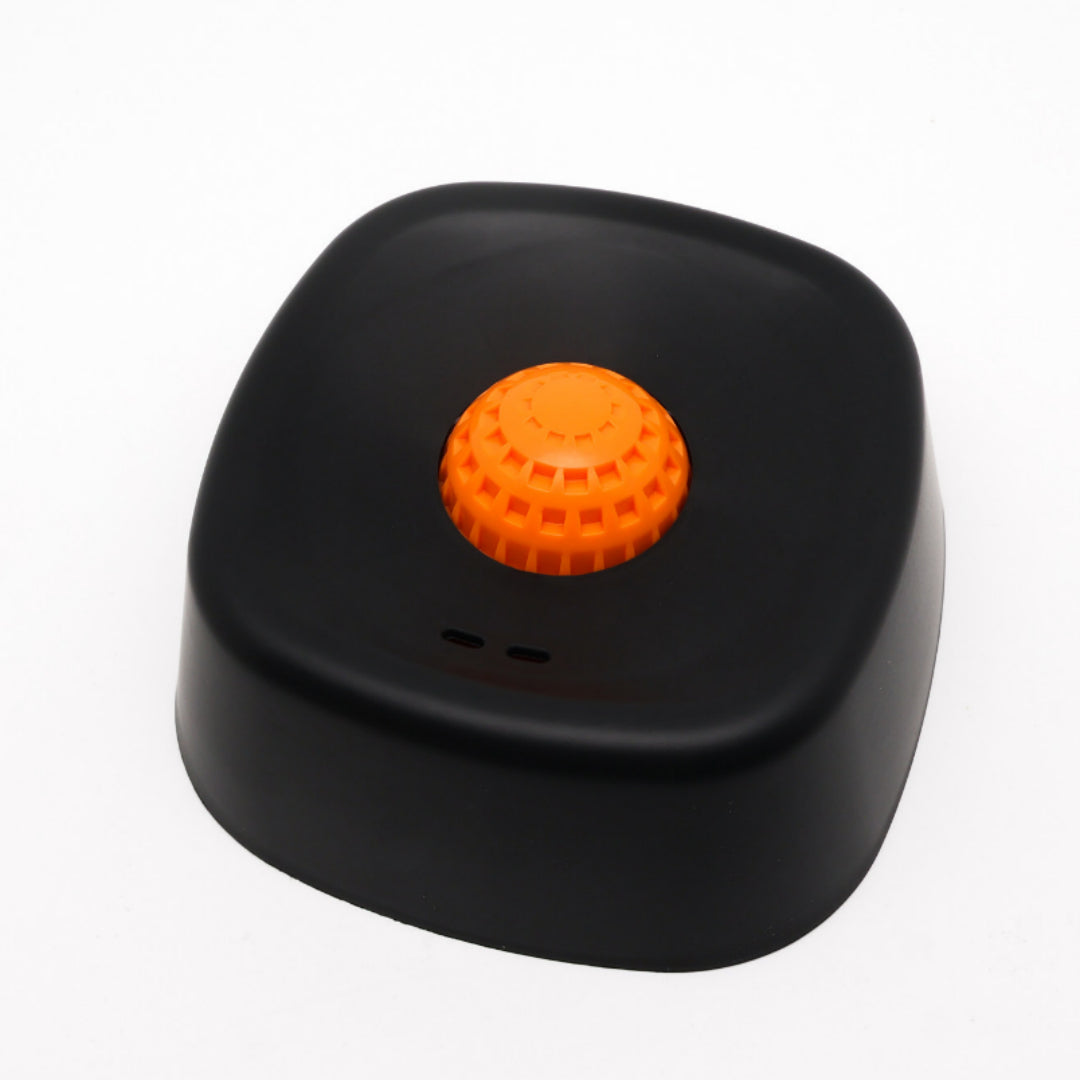 Non-Slip Slow-Feeding Dog Bowl