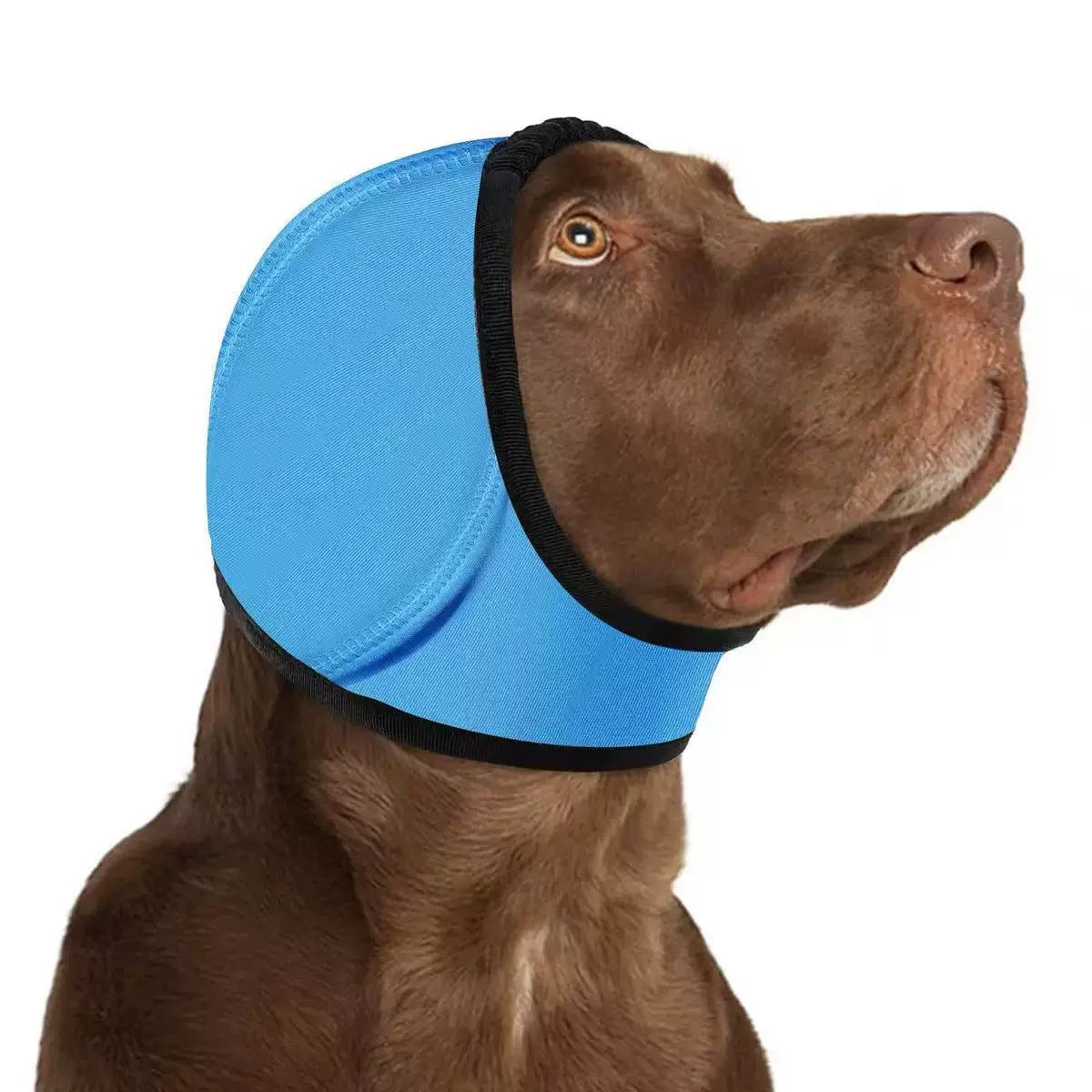 Calming Dog Ear Wrap for Anxiety & Thunder