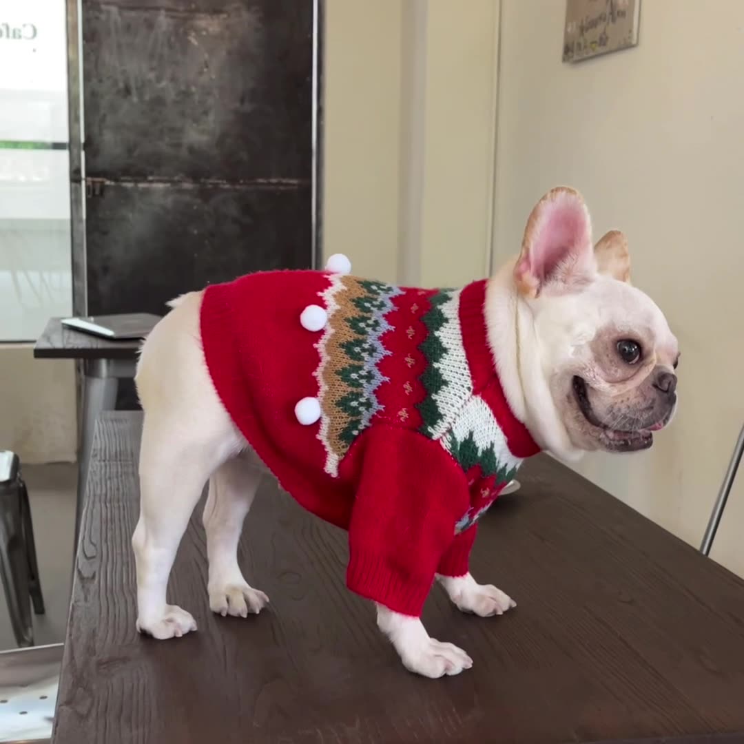 Fair Isle Christmas Dog Sweater – Pom-Pom Knit for Small Dogs