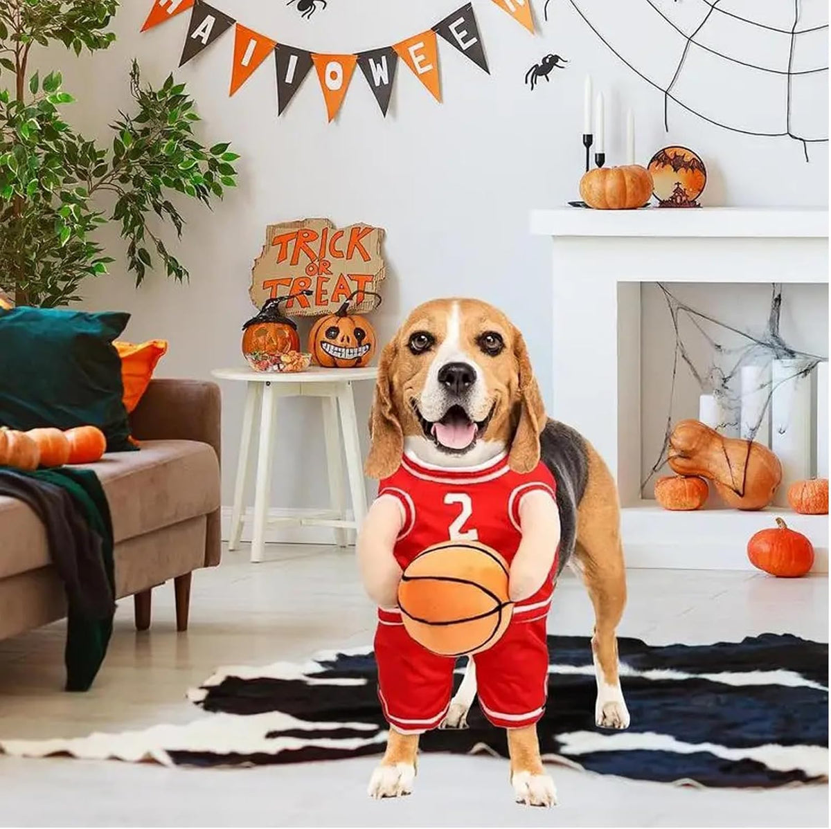 Basketball Player Costume for Dogs – Padded Arms and Ball