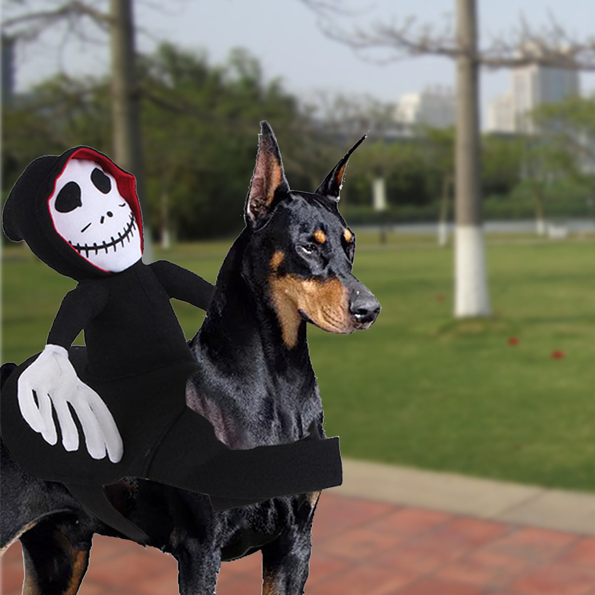 Grim Reaper Riding Costume for Dogs – Halloween Cosplay