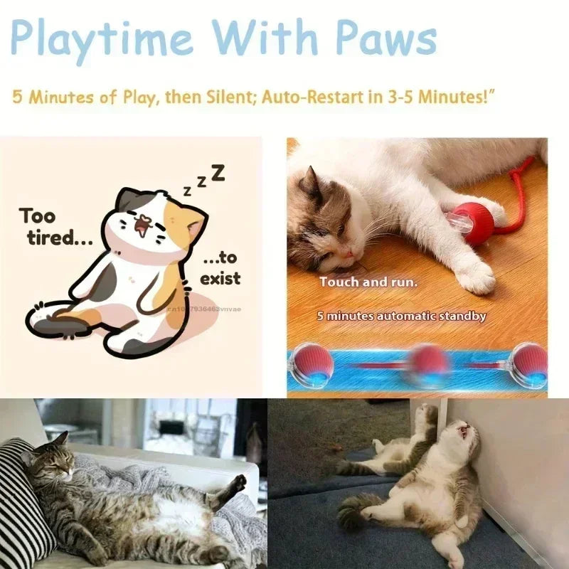 Smart Interactive Ball for Cats & Dogs (Rechargeable)