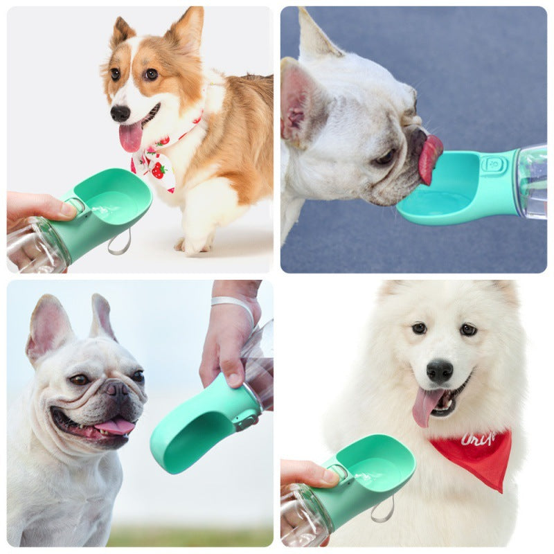 Portable Dog Water Bottle for Walks