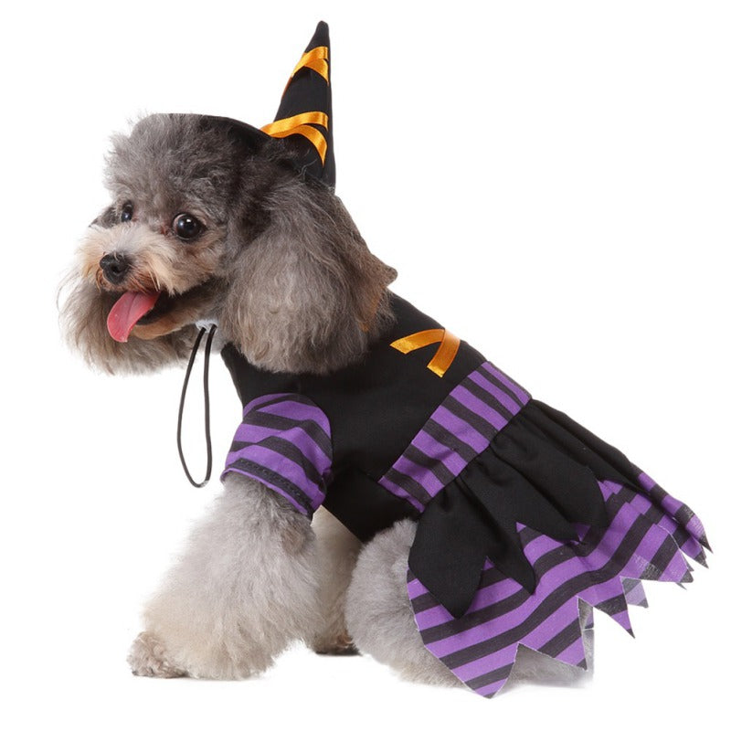 Witch Costume for Dogs & Cats – Pointed Hat and Dress