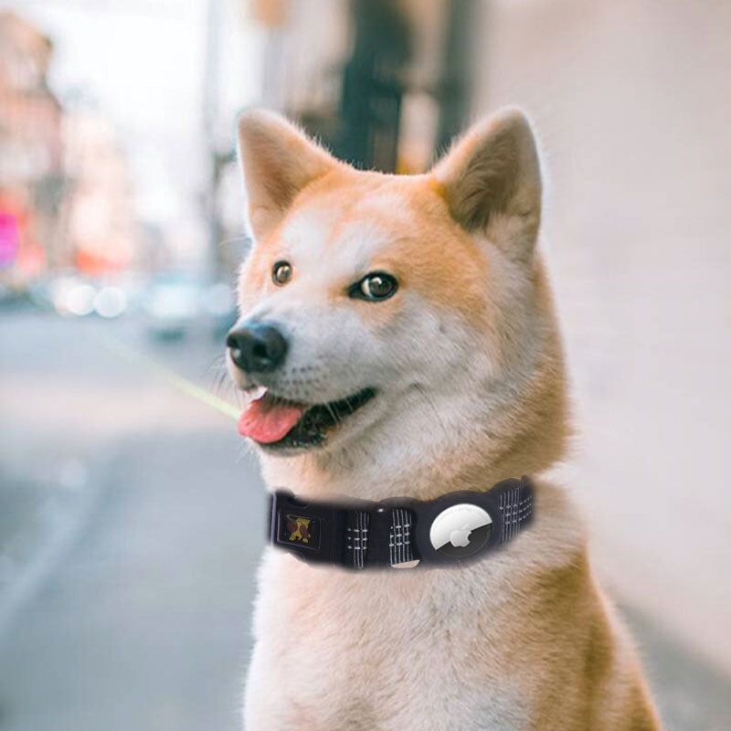 Dog Collar with Tracker Slot – AirTag Compatible